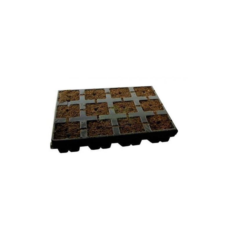 Plateau 12 Cubes 3.5 X 3.5cm Eazy Plug