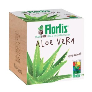 Plantacube Aloe Vera Flortis