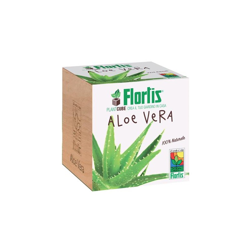 Plantacube Aloe Vera Flortis