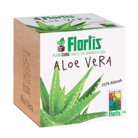 Plantacube Aloe Vera Flortis
