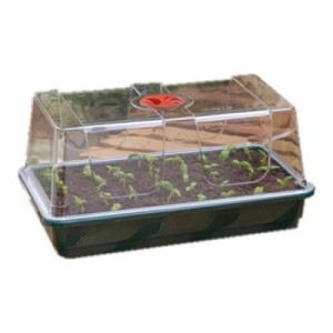 Mini Invernadero Ventilado Rígido Grande 38X23X18 G19 Garland