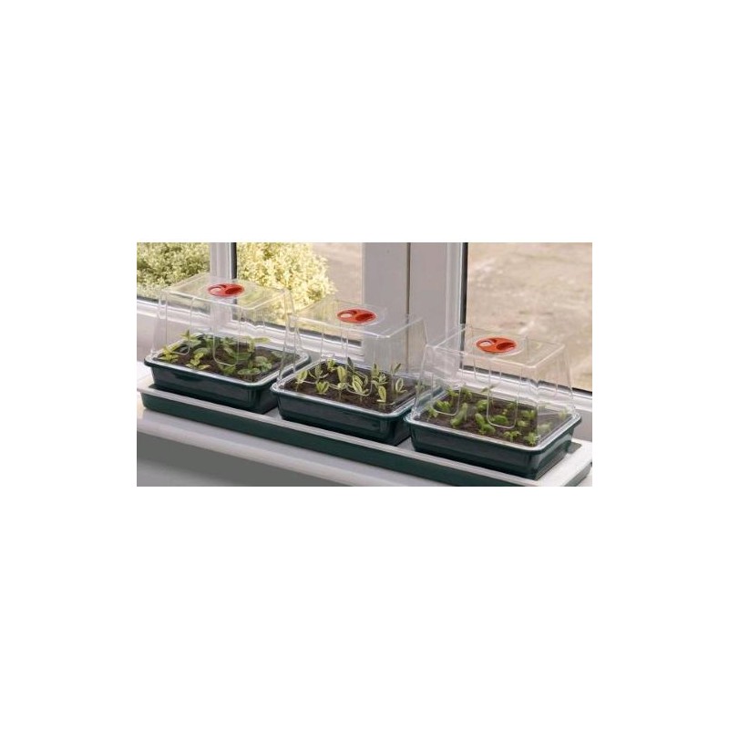 Rigid Small Ventilated Mini Greenhouse Set of 3 Pieces G85X3 Garland
