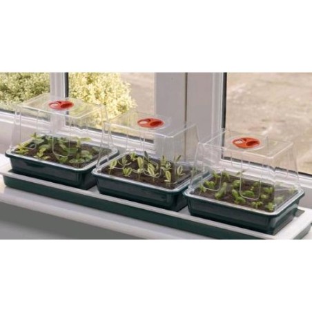 Rigid Kleine Belüftete Mini-Gewächshaus Set von 3 Teilen G85X3 Garland