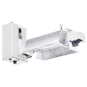 Pro 1000E DE 400V EL DE E Line Gavita