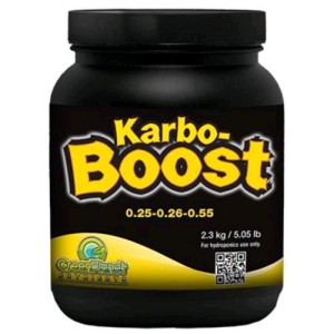 Karbo Boost 30 gr Green Planet