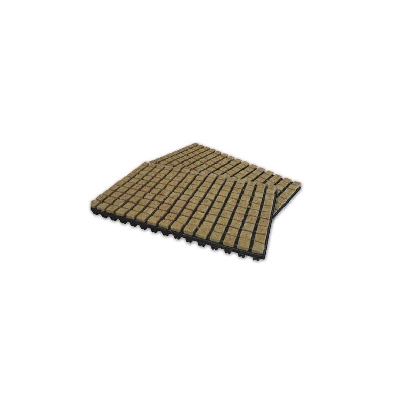 Vassoio per Germinazione 150 Cubetti Rockwool da 2,5X2,5 cm Grodan