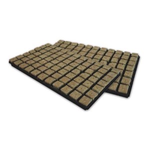 Plateau de Germination 77 Cubes de Rockwool 3.6X3.6 Grodan