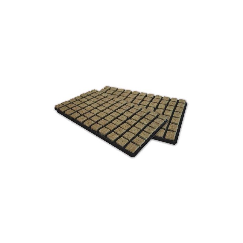 Bandeja de Germinación 77 Cubos de Rockwool 3.6X3.6 Grodan