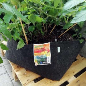 Klassischer Stofftopf 350G/M2 225L Gronest