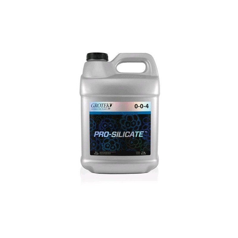 Pro Silicate 10 l Grotek
