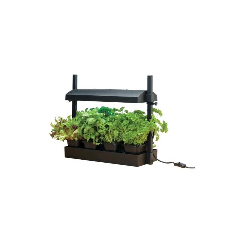 Grow Light Garden 11W Mini Jardin Intérieur Garland
