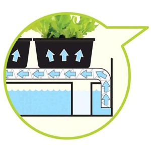 Grow Light Garden 11 Watt Mini Orto Indoor Garland