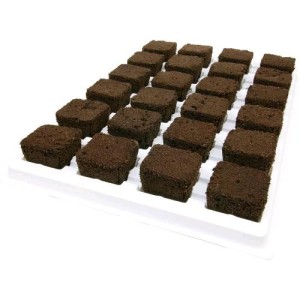 Root Riot Tray 77 Stk 3.2X3.2X3.8 cm Growth technology