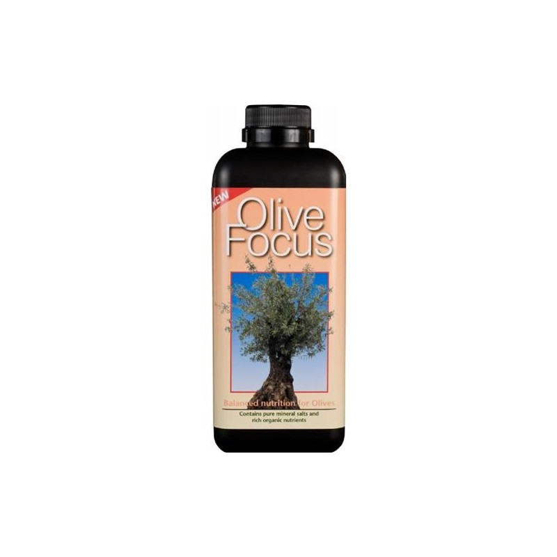 Olive Focus 1L Growth technology