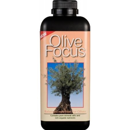 Olive Focus 1 L Growth technology