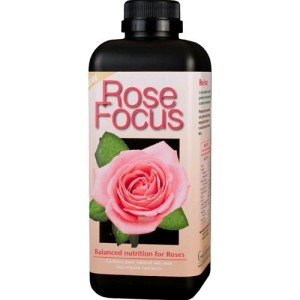 Rose Focus 1L Technologie de Croissance Growth technology