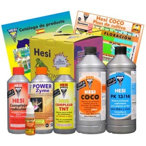 Caja de inicio Coco Hesi
