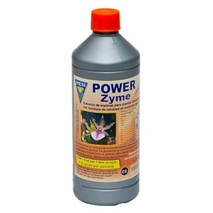 Powerzyme 1L Hesi