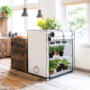 Ambient R300+ 300X150X220 cm Homebox