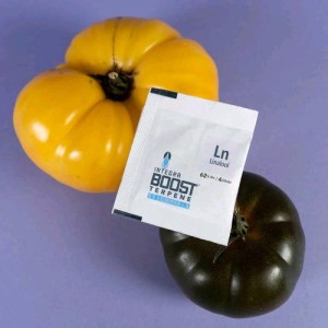 Terpen 12 Stk Lose Linalool 4 GR RH 62% Integra Boost