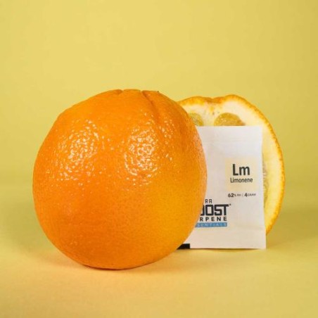 Limonene 4gr RH 62% ITerpene 12 Pezzi Sfusi ntegra Boost