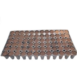 Plateau de Propagation Pour Germination DE 66 Cubes 55X31.5X5.5 Jiffy