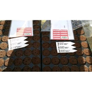 Plateau de Propagation Pour Germination DE 84 Cubes 53X31X6 Jiffy