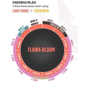 Flowa Bloom 5 L Juju Royal by Biobizz