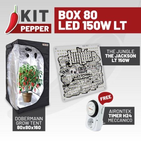 Kit Peperoncino Box 80 LED LT 150