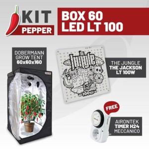 Kit Peperoncino Box 60 LED LT 100 Idrogrow