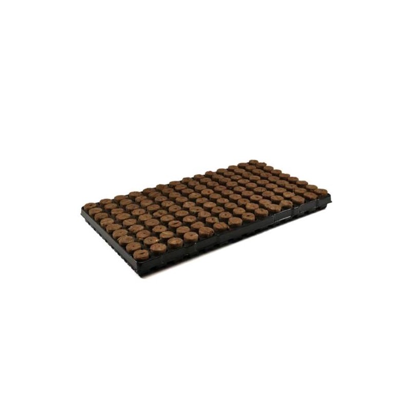 Agra Wool Plateau 126 Plug Agra-Wool