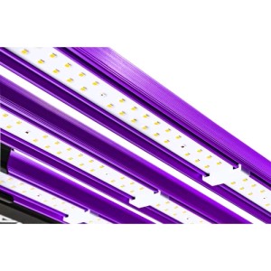 LED Ats 300W Pro Lumatek