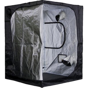 Pro+ 100 100X100X200 cm Mammoth
