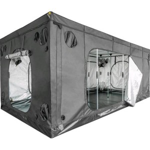 Elite HC600L 600X300X240 cm Mammoth