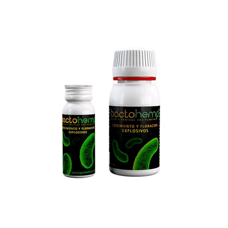 Agrobacterias Bactohemp 50 GR Agrobaterias