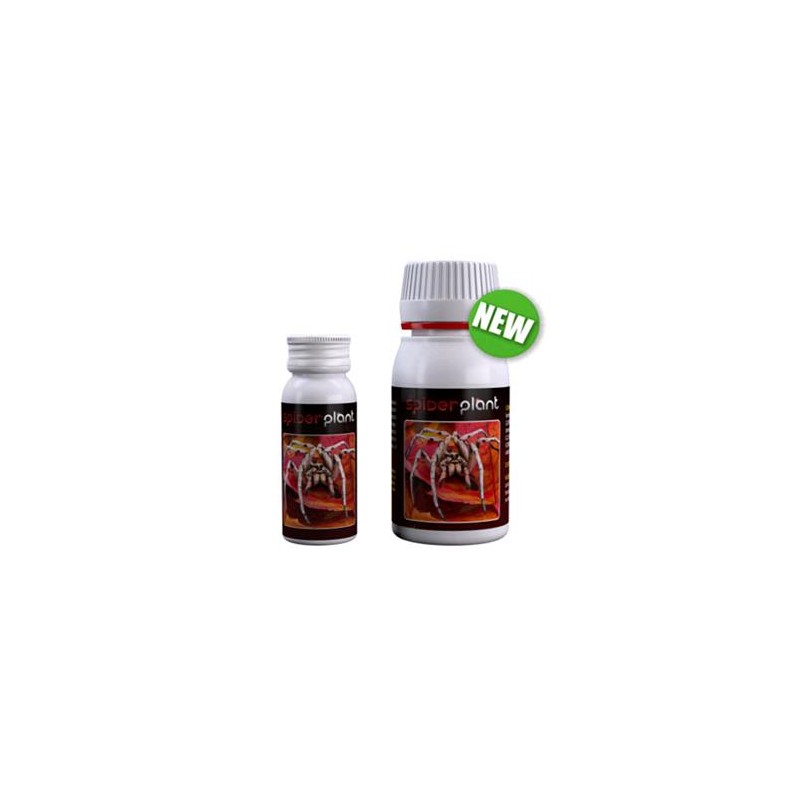Spider Plant 15 ml Ex Spider Killer Agrobaterias
