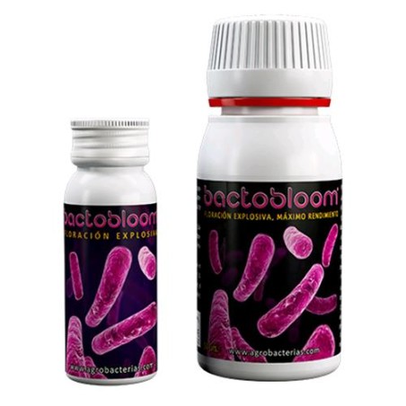Bactobloom 10 gr Agrobaterias