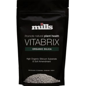 Vitabrix 300gr Mills