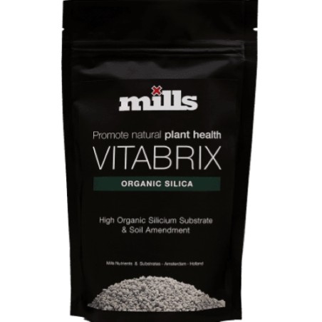 Vitabrix 300GR Mills