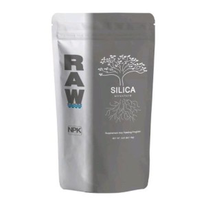 Raw Silica Silica 900GR NPK Industries