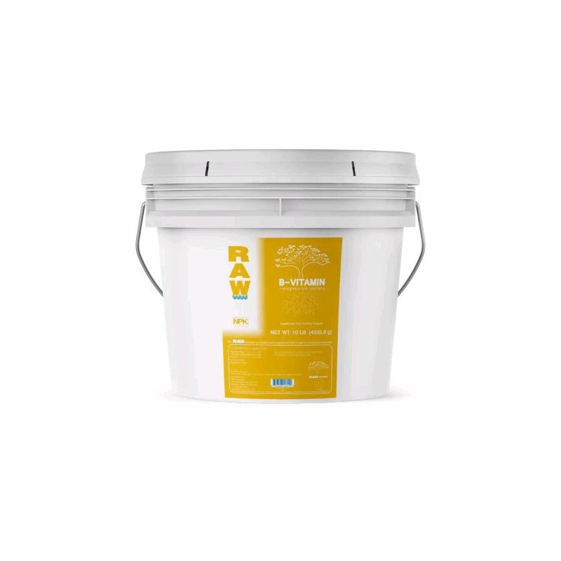 Raw B Vitamin Vitamine B 4.5KG NPK Industries