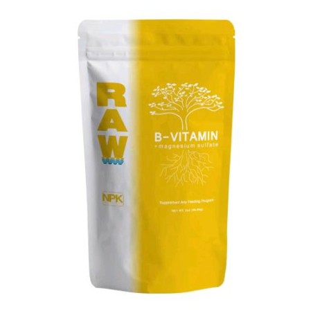 Raw B Vitamin B 55GR NPK Industries