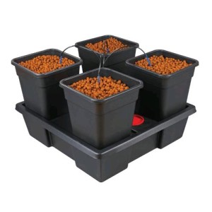 Nutriculture Wilma Origin Large 4-18L NutSystem