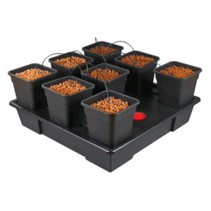 Nutriculture Wilma Origin Xxl 8-18L NutSystem