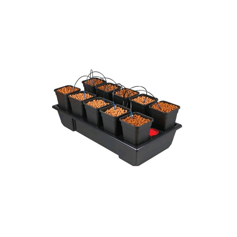 Nutriculture Wilma Origin Small Wide 10-6L NutSystem