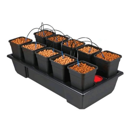 Sistema Idroponico 10 Vasi 6 L Small Wide Wilma Nutriculture