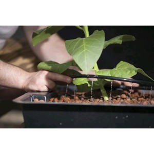Flo Gro 520-70x70x27 cm Nutriculture NutSystem
