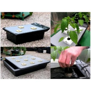 Nutriculture Nft Gro Tank Kit 100-100L 120x106x22cm NutSystem