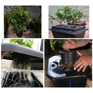 Oxypot Single 19L e Airkit 35x35x37cm Nutriculture NutSystem