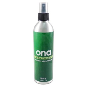Spray Apple Crumble 250 ml ONA